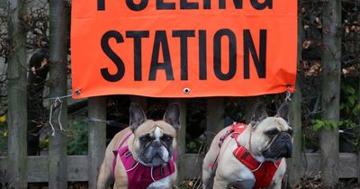 Is there a local election in my area? Full list of votes taking place across the UK on May 5