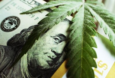 5 Cannabis Stocks Wall Street Predicts Will Skyrocket