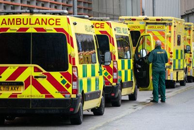 ‘Patients will almost certainly die’ if delays get worse, warns ambulance leader amid ‘dangerous’ A&E waits