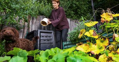 Waste hero aims for almost zero trips to the tip