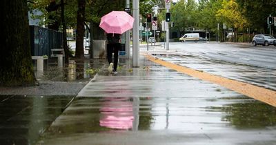 Umbrellas at the ready for wet days ahead