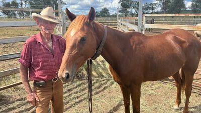 Drover's life still beckons for Ned, almost 90, as he leads stockmen on Eidsvold cattle drive