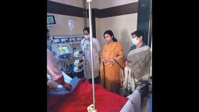 No civic body leash on stray canines in Lucknow colonies