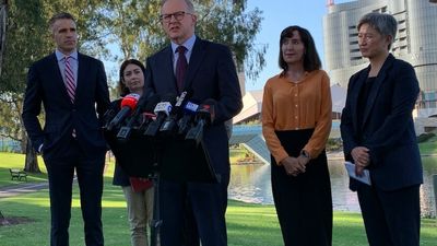 Labor's Murray-Darling Basin policy pledges more environmental water for SA, angering upstream states