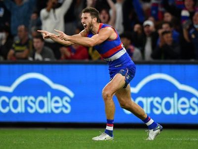 AFL Bulldogs wary of wounded Tigers' bite