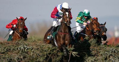 Grand National 2022: Pinstickers guide to Aintree runners, prediction, odds and colours