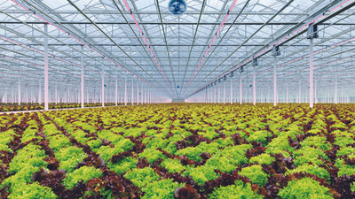 Learn from the Dutch to tackle climate change, save resources