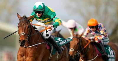 Grand National sweepstake kit 2022: Print our guide with full runners and riders