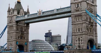 Tower Bridge shut down as two activists hang from suspension cords