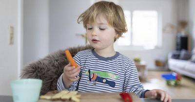 Parents dread family mealtimes as they worry their kids will complain about the food