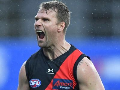 Stringer injury blow for Bombers in AFL