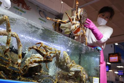 Russian crab craze in S.Korea stirs ethical debate over Ukraine crisis