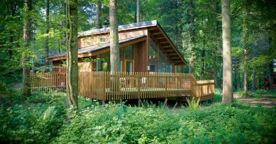 Sykes Holiday Cottages buys Forest Holidays in 'nine figure deal'