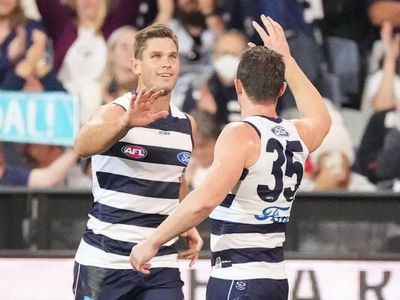 Cats extend home AFL dominance over Lions