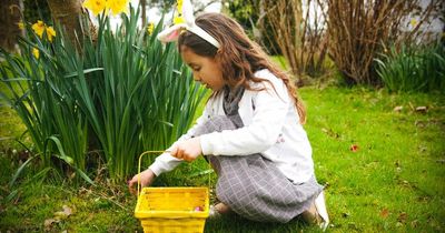 All of the Easter egg hunts happening in and around Dublin
