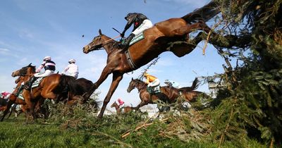 Five dark horses who can spring a surprise in the Grand National