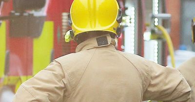 Ballybogey fire: Fifteen calves die in large blaze