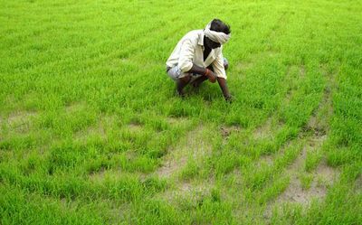 Model by-laws soon for agri-credit societies