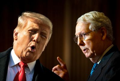 Mitch McConnell makes Trump dumber