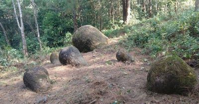 Dozens of enormous megalithic jars unearthed at mystery archaeological site in India