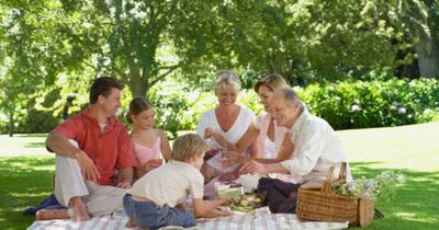 Seven picnic spots in Northumberland to visit this summer