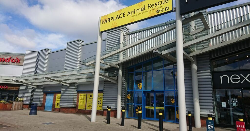 Plans for Falkirk's retail park could see new cinema,…