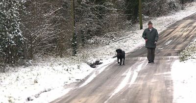 Ireland weather: Met Eireann's highly unusual 24-hour snow forecast - but tropical turn just days away