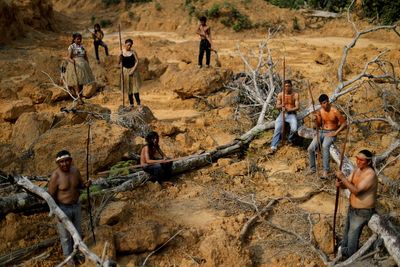 Brazil's Amazon deforestation sets first-quarter record despite March dip