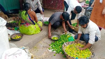 Explained: Why prices of lemon, chilli & other vegetables are rising