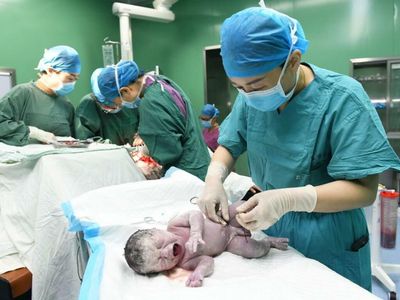 Global Cord Blood Corp Looks Anemic on Slow Growth, Regulatory Concerns