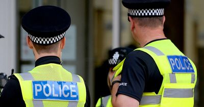 Four police officers and dog injured after firework thrown at Bristol Rovers match