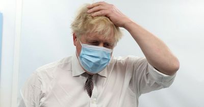 Boris Johnson admits it took 'a while' to get Covid test before virus nearly killed him