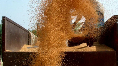 Delhi: Counters at Narela and Najafgarh mandis to buy wheat at MSP