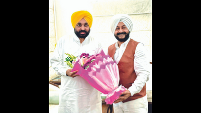 ‘Zero tolerance for gangsters’: Punjab CM Bhagwant Mann at task force meeting