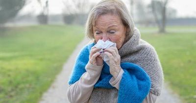 What is my cough and sore throat? The infections soaring right now in Ireland with those symptoms