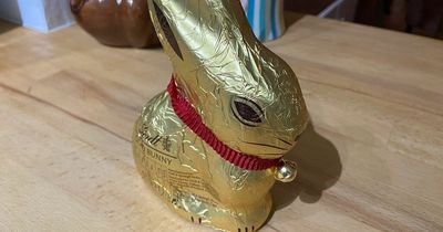 We compared Aldi and Lindt Easter chocolate bunnies and it was a close call