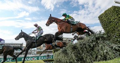 Grand National 2022 full race card and tips - list of runners and riders for Aintree on Saturday