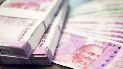 Nagaland Lottery results: Winning numbers of Dear Vulture Evening results