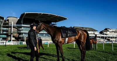 Grand National 2022: Rachael Blackmore ready to go again at Aintree on Minella Times