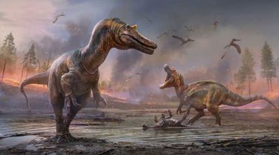 Early Dinosaur Fossils Linked to Asteroid Strike, Scientists Suggest