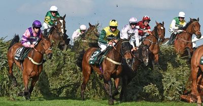 Aintree on Saturday: Tips and runners for every race including Grand National 2022