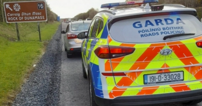 Gardai catch learner driver only on the road for two weeks absolutely smashing speed limit