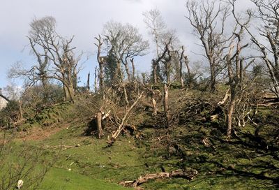 Owner ‘in shock’ after tornado batters Welsh farm