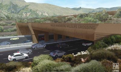 Animal crossing: world’s biggest wildlife bridge comes to California highway