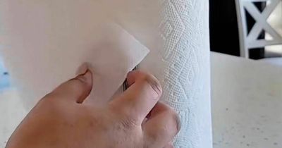 Woman shares 'hidden' paper towel holder feature and people are blown away