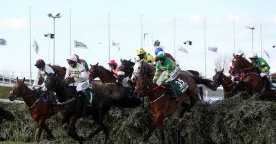 How many fences in Grand National 2022? Becher's Brook and The Chair height