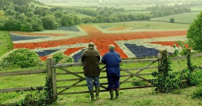Aldi launches 'beauty contest' for suppliers to win life changing deal
