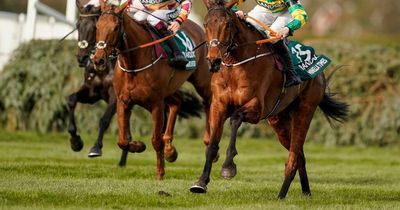 Grand National 2022 runner-by-runner guide for the big race at Aintree