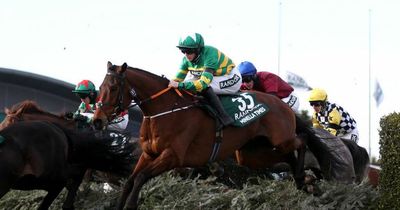 Grand National 2022 full results and which finishing places each-way bets pay out on