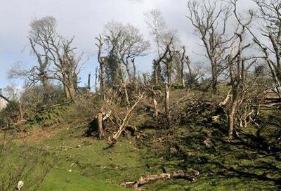 Welsh winds that lifted lamb in the air confirmed as tornado